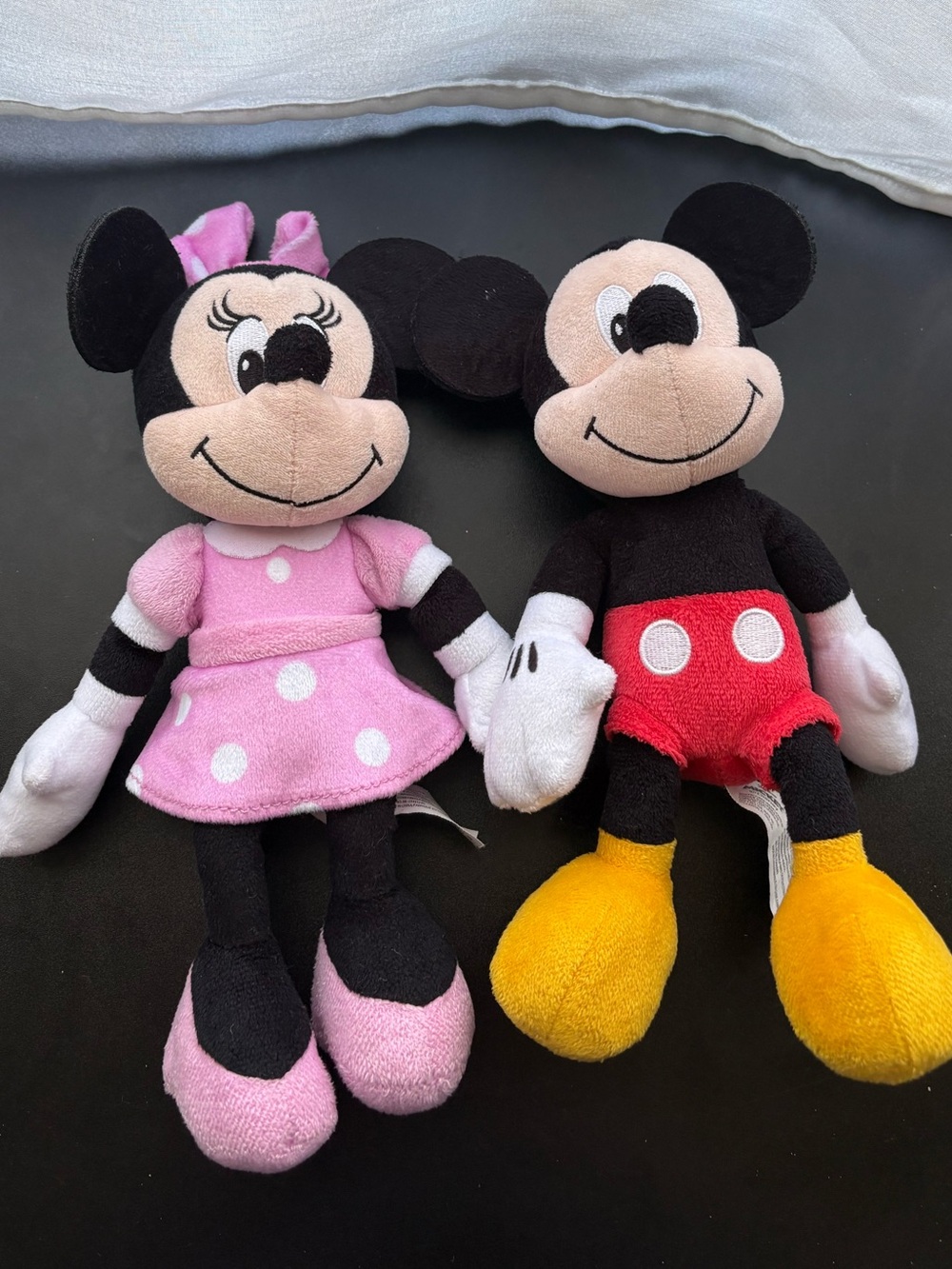 Matching Minnie and Mickey Mouse disney plush